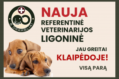 8 DRAMBLIAI ATIDUNDA Į KLAIPĖDĄ!
